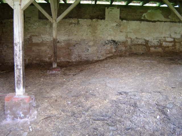 DSC03024